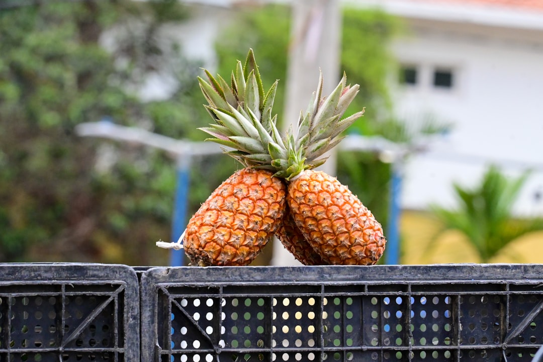 Photo Pineapple slices